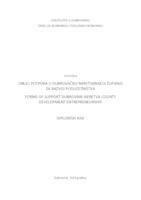 Oblici potpora u Dubrovačko-neretvanskoj županiji za razvoj poduzetništva