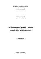 Uporaba amonijaka kod goriva budućnosti na brodovima