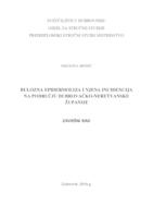 prikaz prve stranice dokumenta "Bulozna epidermoliza i njena incidencija na području Dubrovačko-neretvanske županije"
